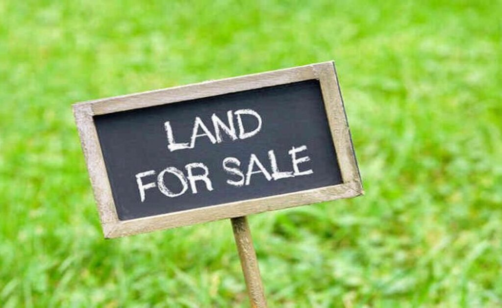 Buying land in Kenya